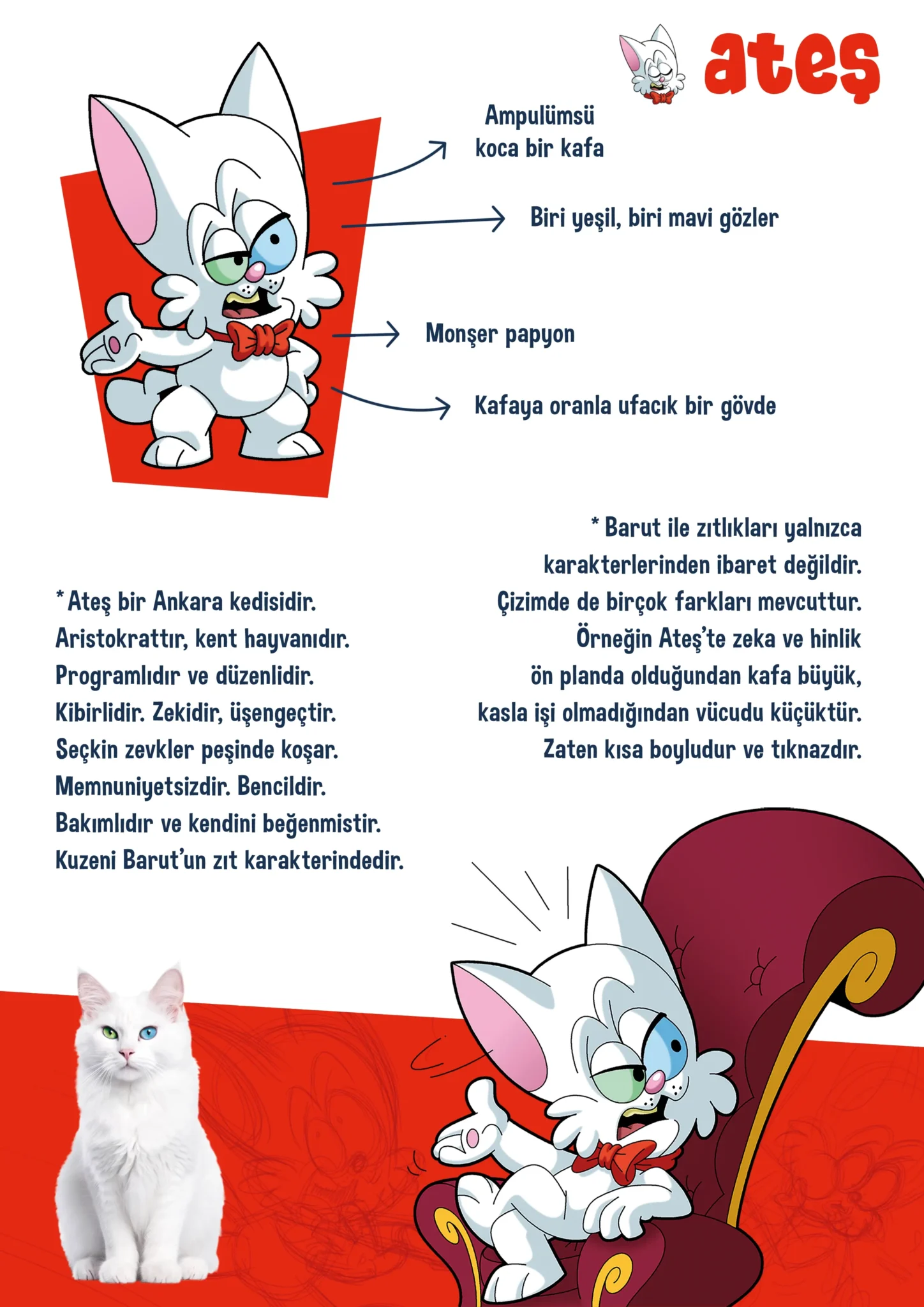 AteşileBarut